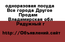 одноразовая посуда - Все города Другое » Продам   . Владимирская обл.,Радужный г.
